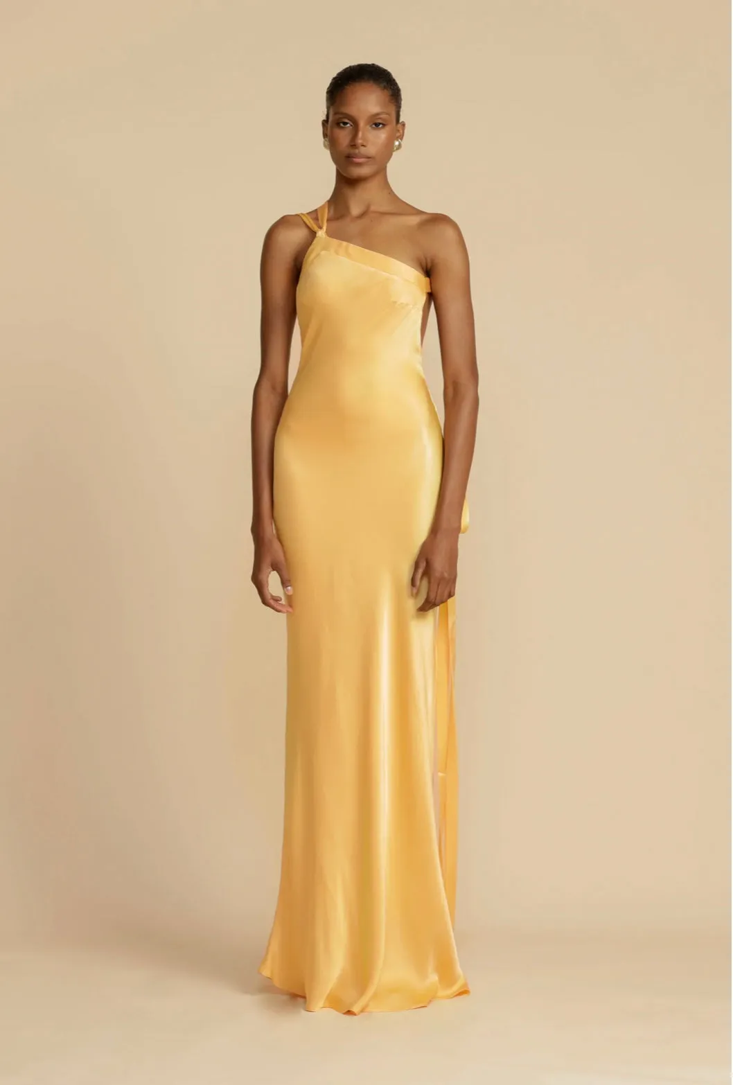ARCINA ORI - Monique Dress