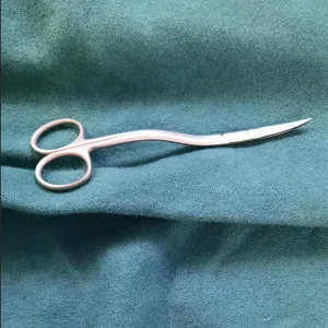 Bent Scissors