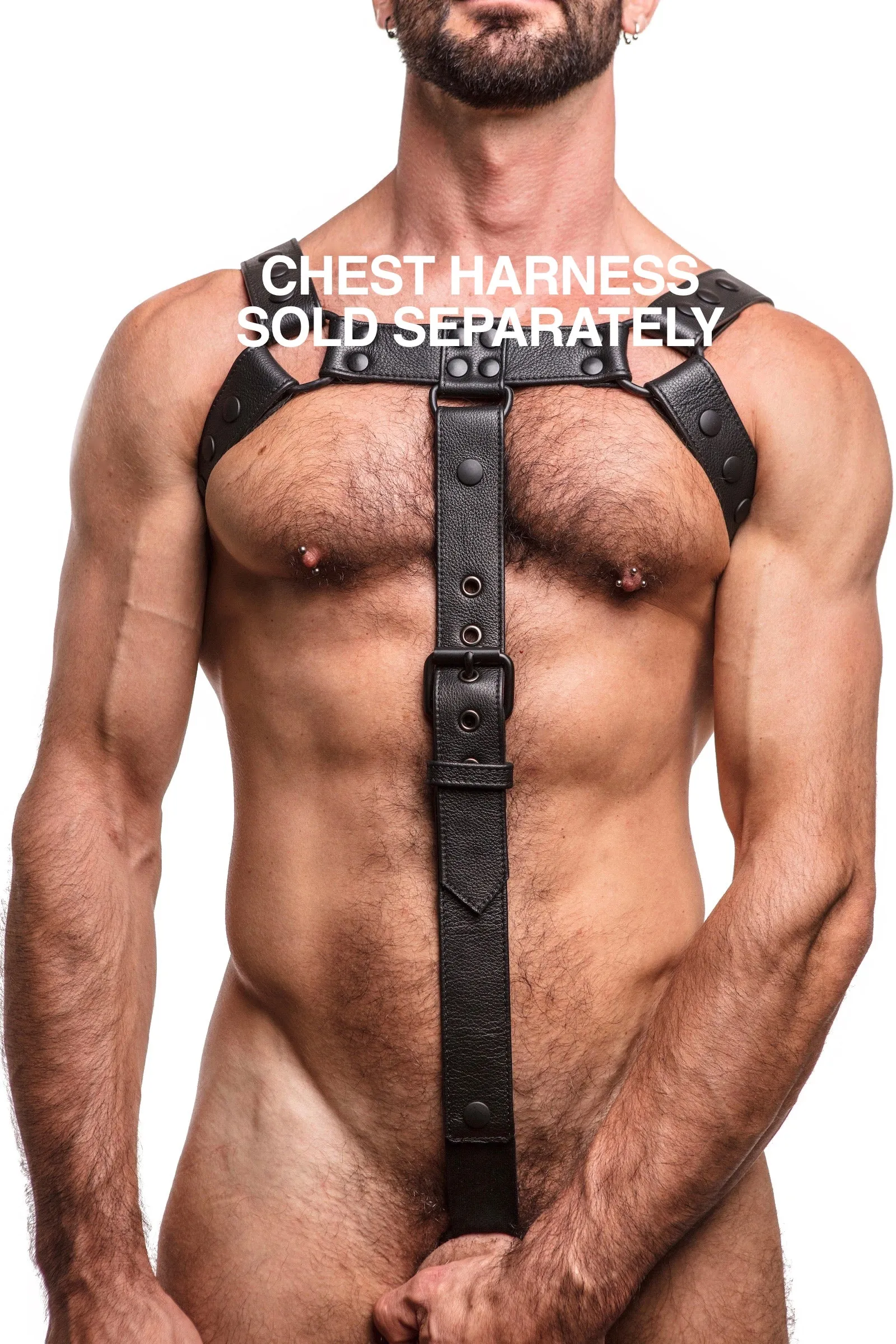 BULLDOG COCKSTRAP - Black