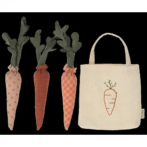 Carrots in Shopping Bag