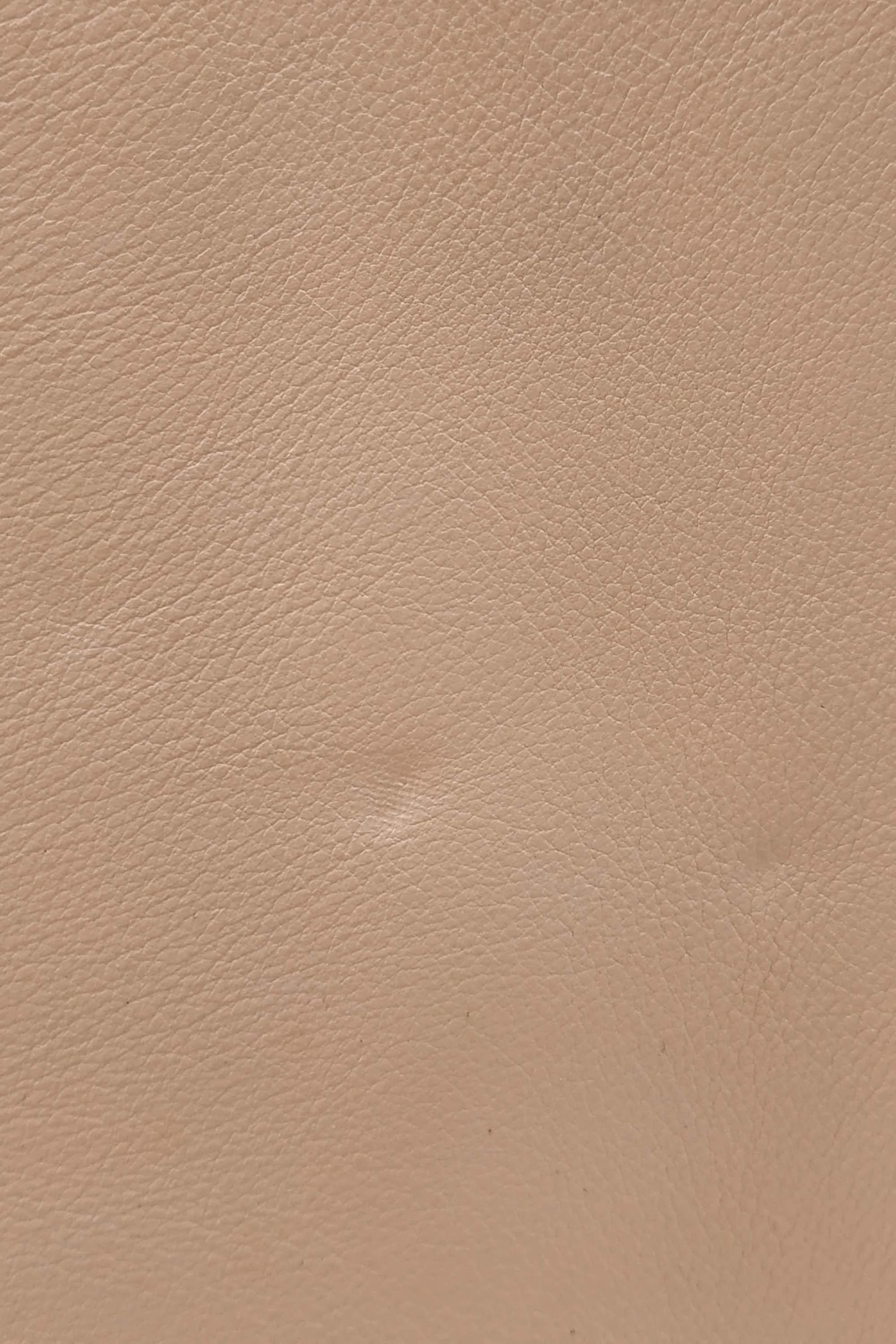 Classic Small Sac De Jour Peach