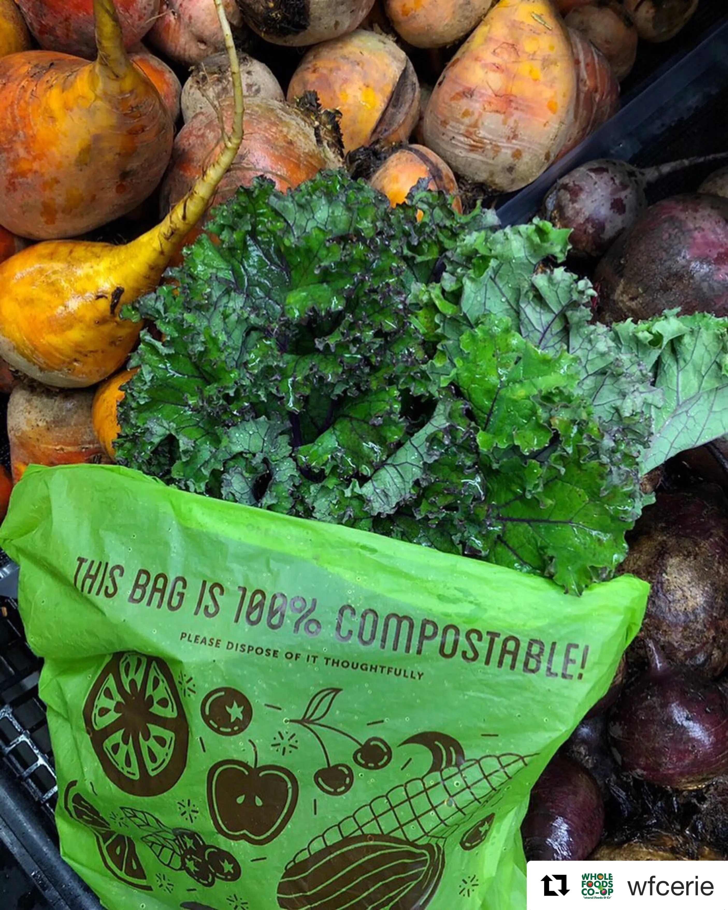 Compostable <br>Produce Bag on a Roll x3
