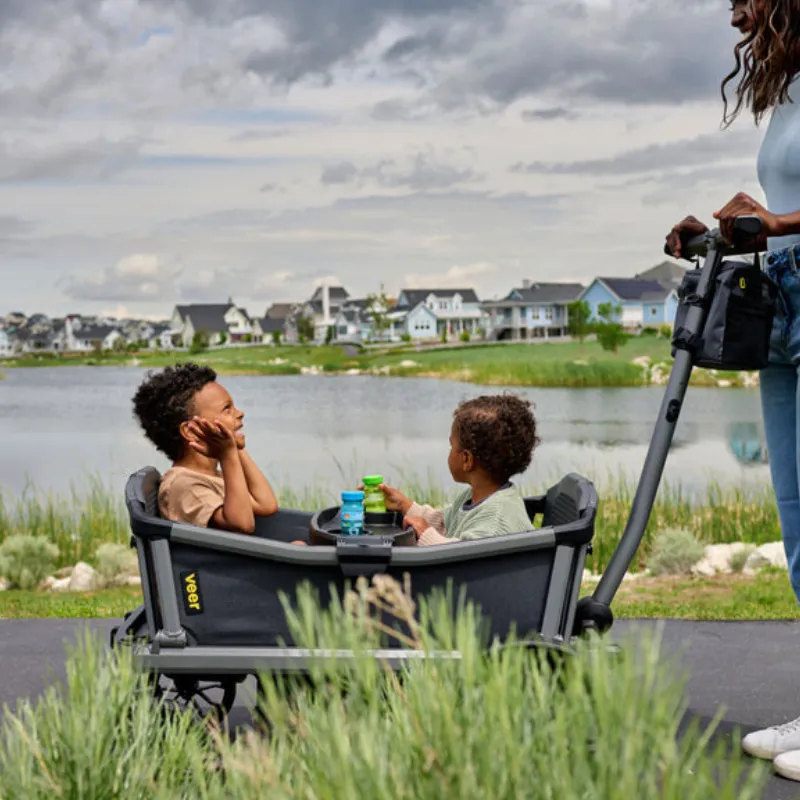 Cruiser City 2 Seater Wagon