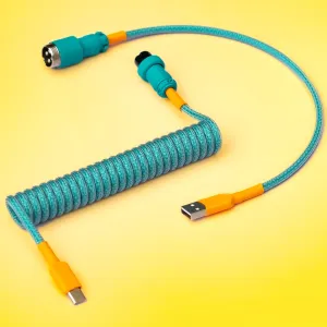 Custom Detachable Cable