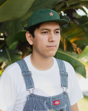 Daydream Starfish Hat