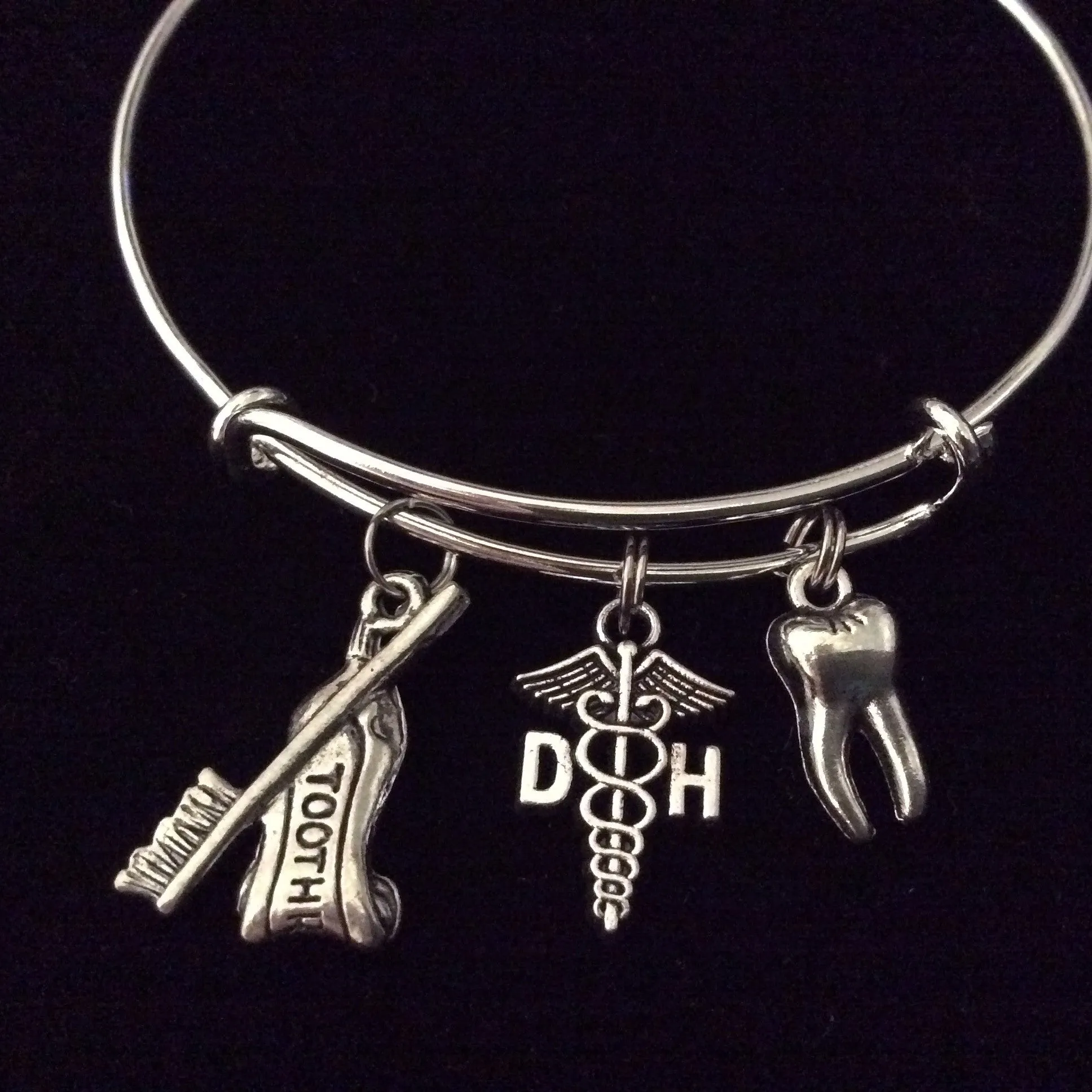 Dental Hygienist DH 3D Silver Tooth Toothpaste and Toothbrush on Expandable Adjustable Wire Bangle Bracelet Gift