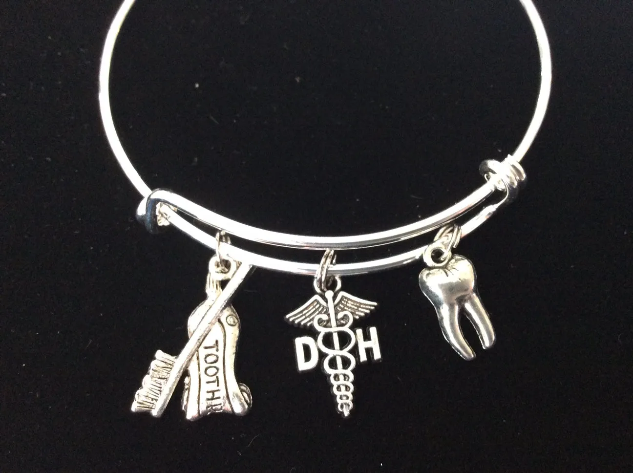 Dental Hygienist DH 3D Silver Tooth Toothpaste and Toothbrush on Expandable Adjustable Wire Bangle Bracelet Gift