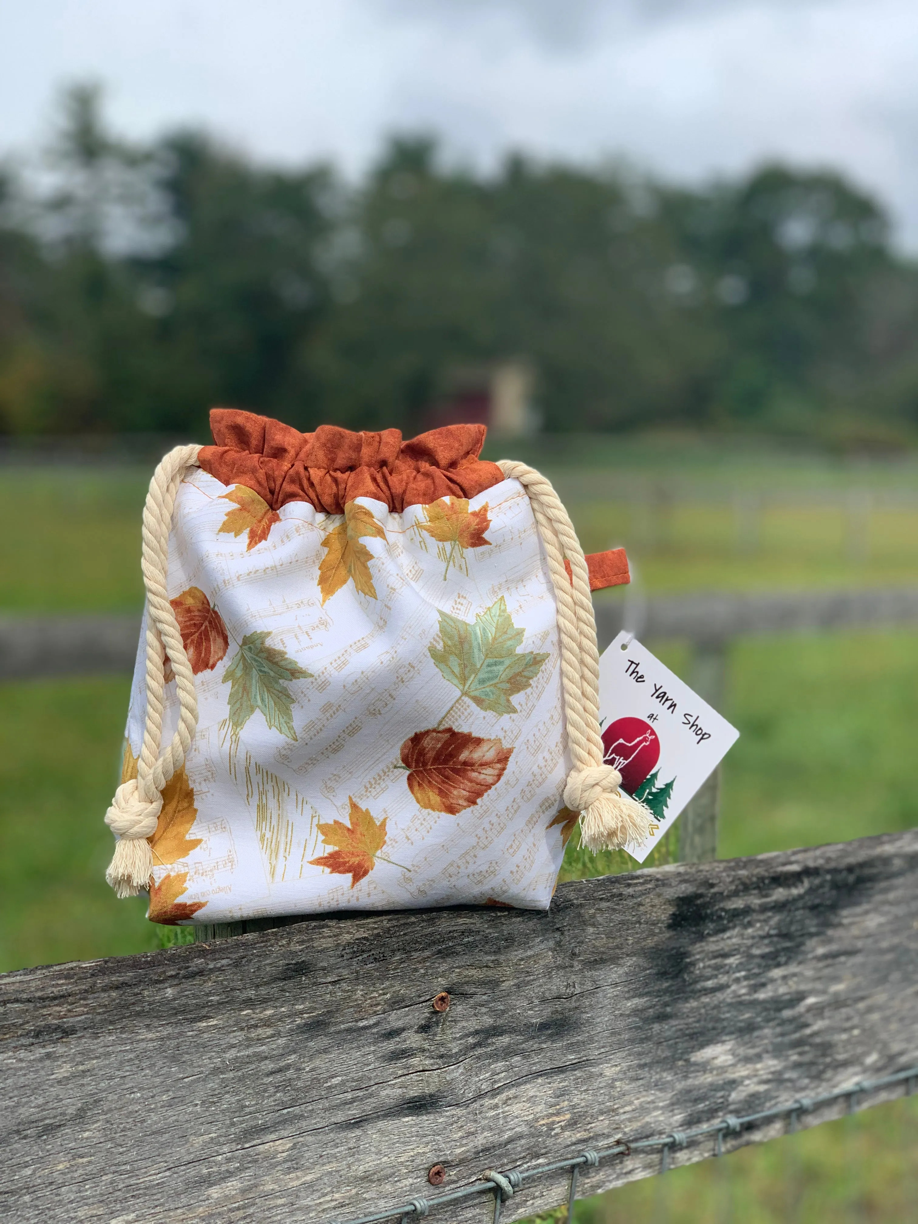 Drawstring Project Bag by Rose (MEDIUM) - MUSICAL LEAVES / Burnt Orange