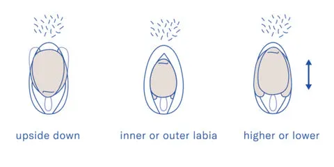 Eva ll Quartz Hands Free Clitoral Vibrator