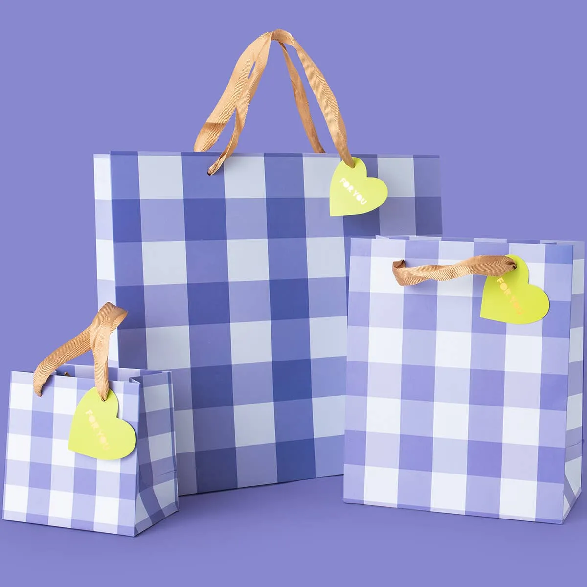 Gift Bags - Blue Gingham - Assorted Sizes to Choose From