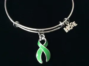 Green Awareness Ribbon Expandable Charm Bracelet Adjustable Bangle Gift (Other Awareness Ribbons Available)Green Awareness Charm on a silver plated Bangle Silver Plated Bangle Lyme Disease Cerebral Palsy Kidney Cancer