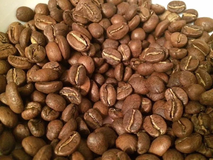 Grimpeur’s Choice Single Origin Coffee Subscription Plan