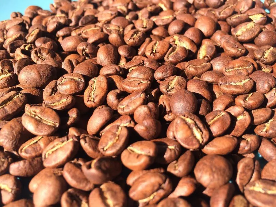 Grimpeur’s Choice Single Origin Coffee Subscription Plan