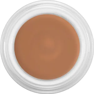 Kryolan Dermacolor Camouflage Cream 30g D11