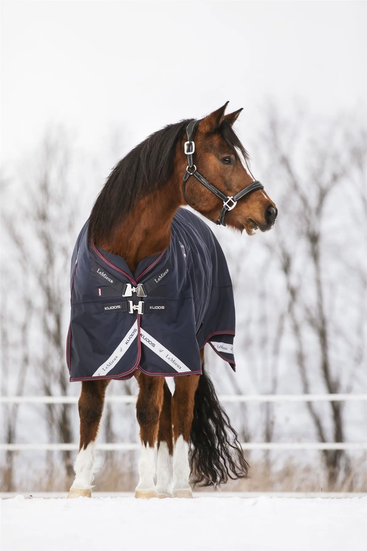 LeMieux Kudos Turnout Rug 200g