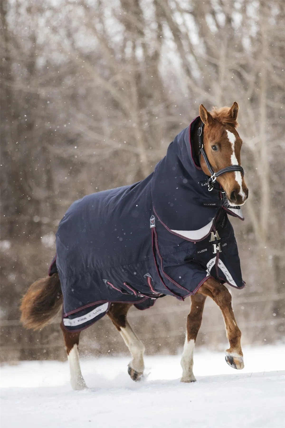 LeMieux Kudos Turnout Rug 200g
