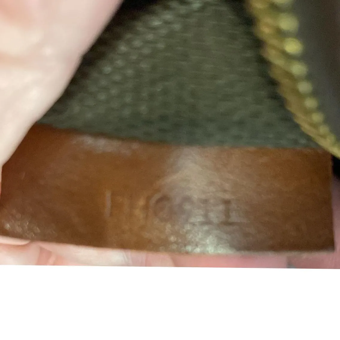 LOUIS VUITTON Monogram Canvas Garment Cover Brown