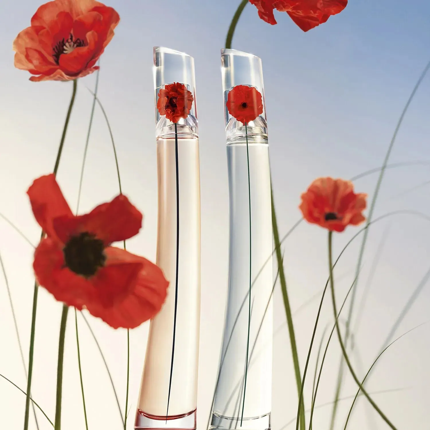 Nước Hoa Nữ Flower By Kenzo EDP