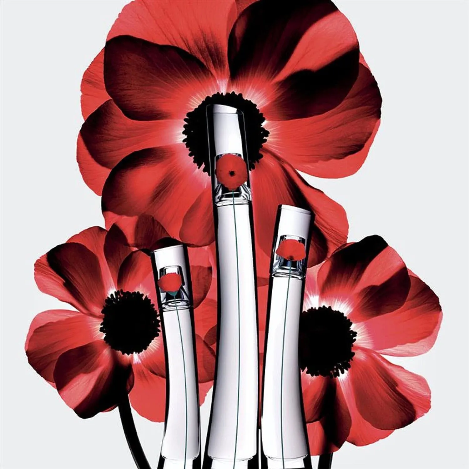 Nước Hoa Nữ Flower By Kenzo EDP