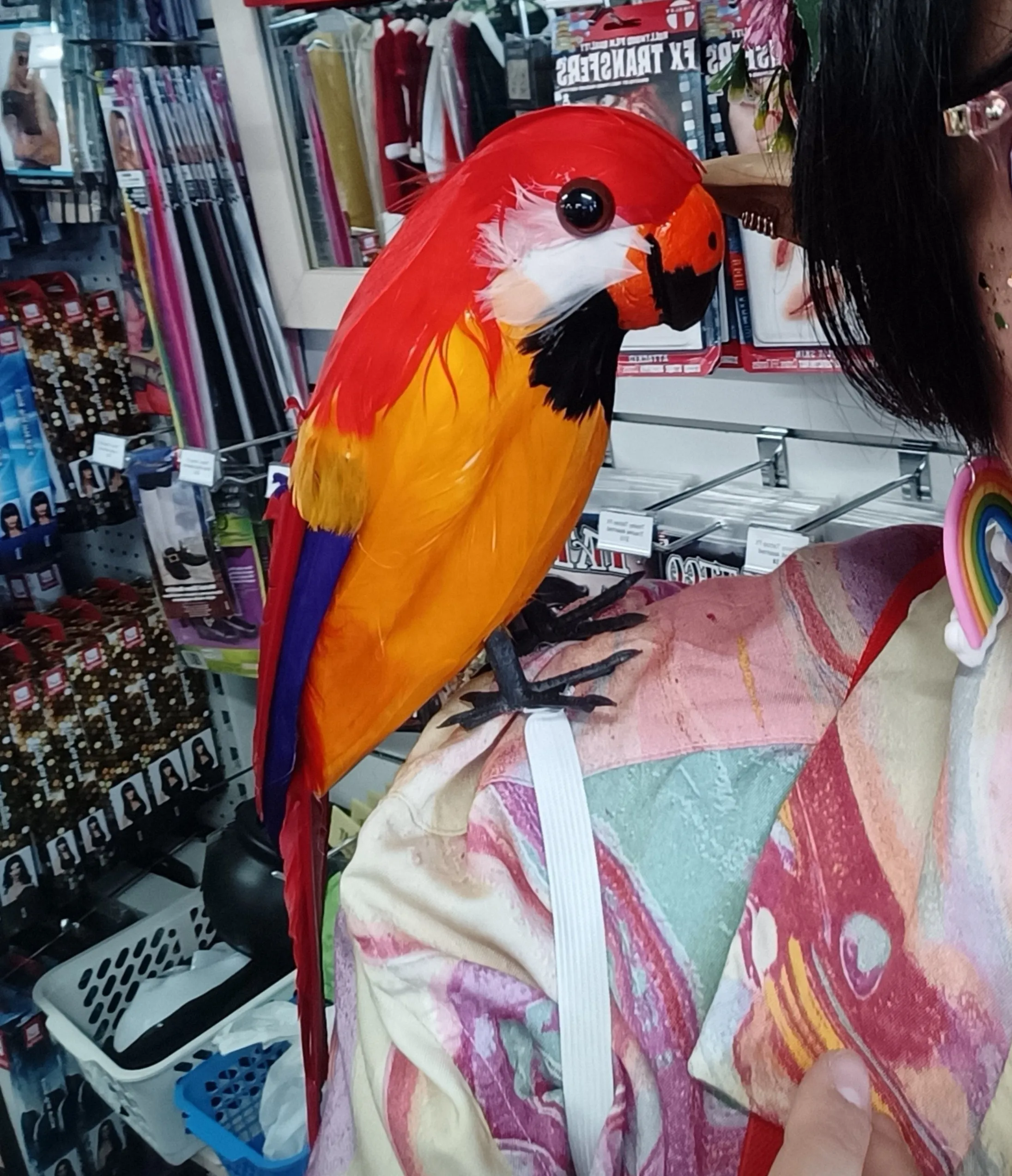 Pirate Shoulder Parrot