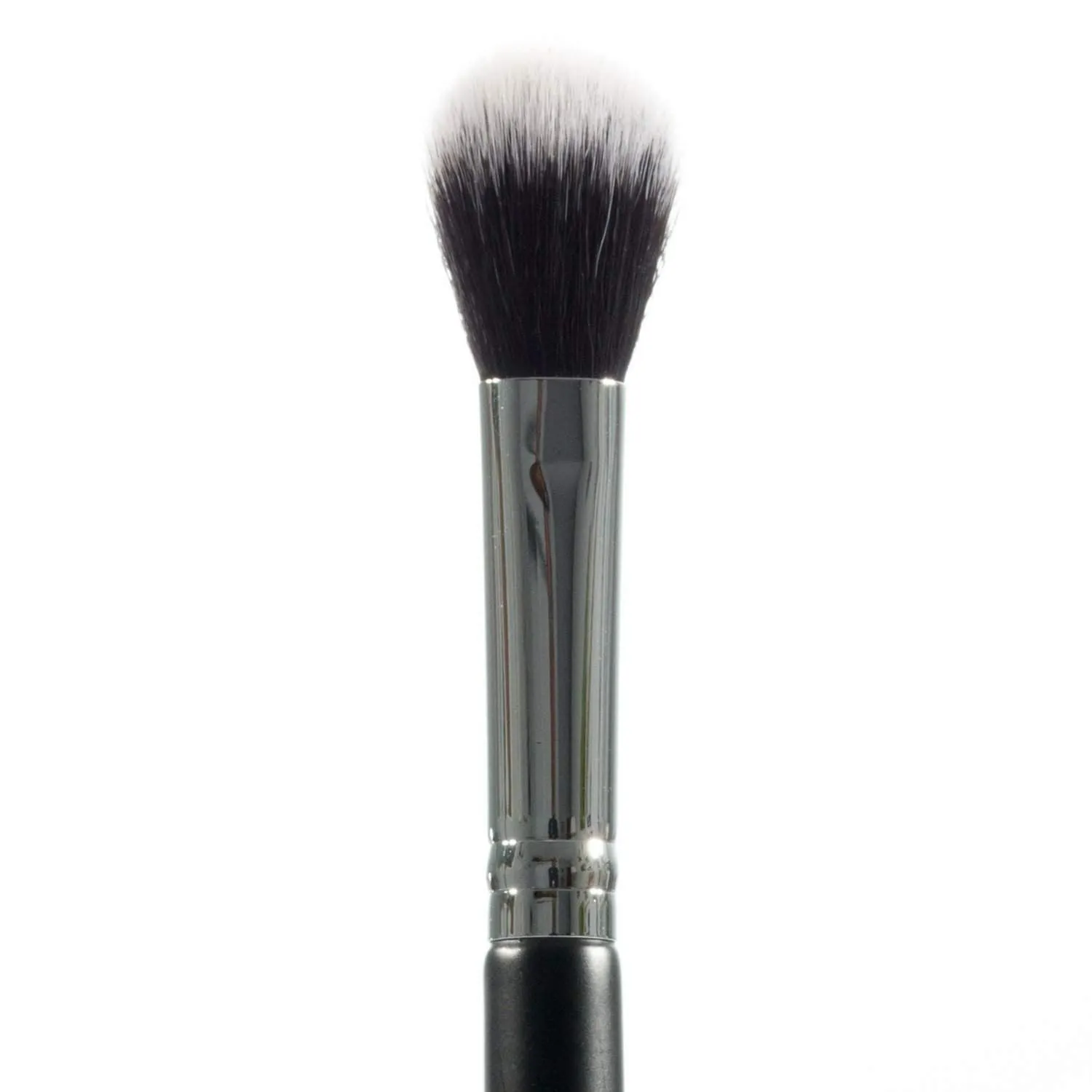 Pro Powder Makeup Brush Set with Case