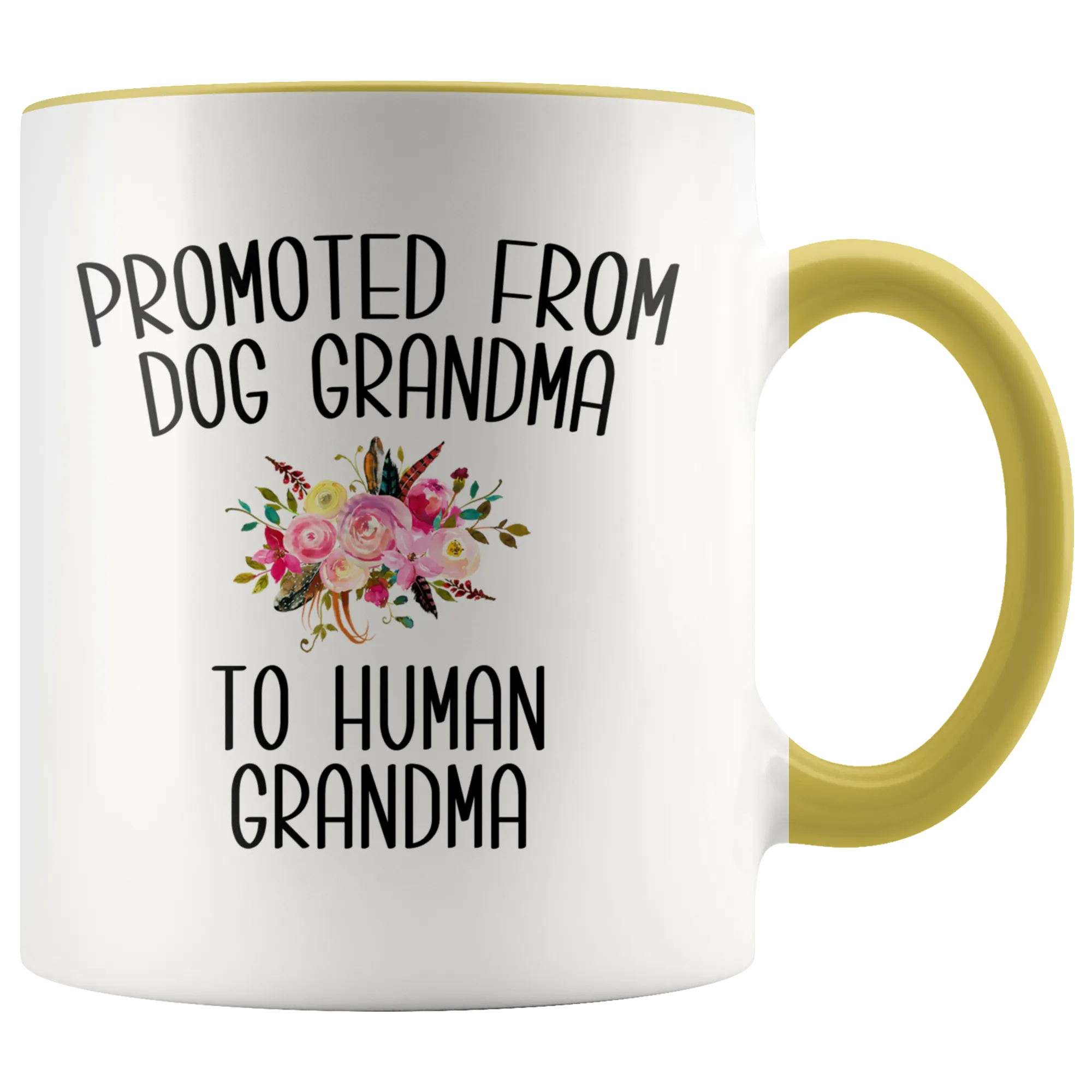 Promoted From Dog Grandma To Human Grandma Mug Grandma Pregnancy Announcement Mother in Law Reveal Gift for Her