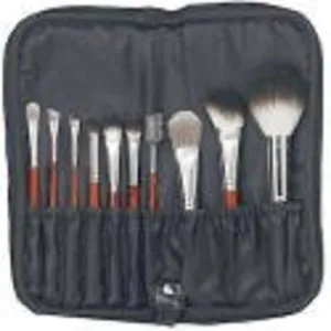 Qe Luxury Professional Brush Set