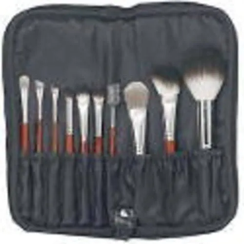 Qe Luxury Professional Brush Set