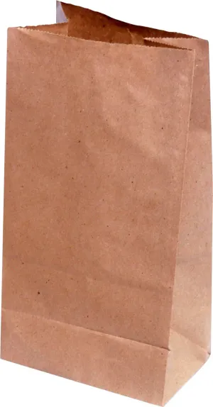 RiteEarth - 5 Lbs Plain Kraft Retail Pack Paper Bag, 50PC/PKT, 20PK/CS - PB050KR