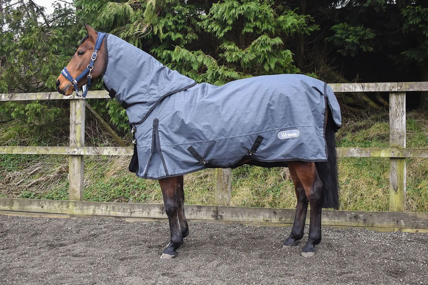 Whitaker Turnout Rug Denshaw 200 Gm