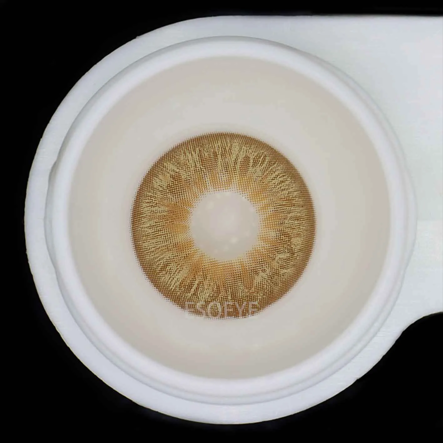 Wildness Leopard Brown Colored Contact Lenses Yearly