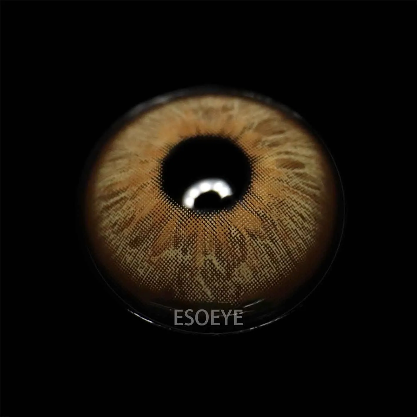 Wildness Leopard Brown Colored Contact Lenses Yearly
